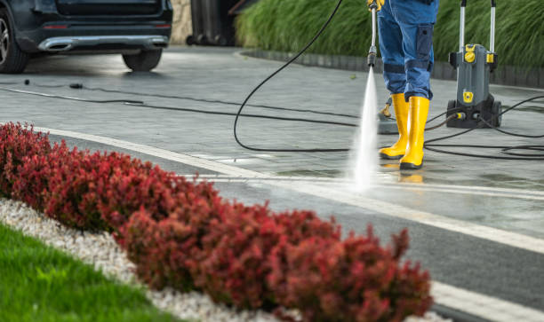 Best Sidewalk Pressure Washing  in Stevensville, MT