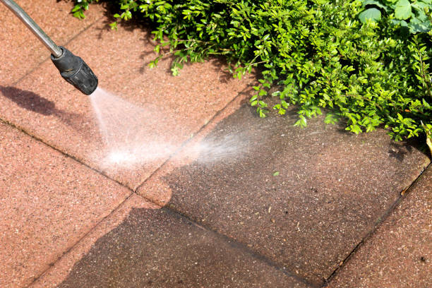 Best House Pressure Washing  in Stevensville, MT